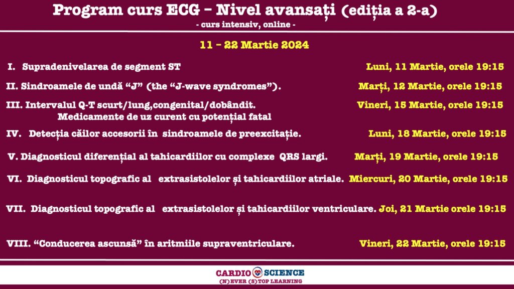 WhatsApp Image 2024 03 02 at 14.02.28